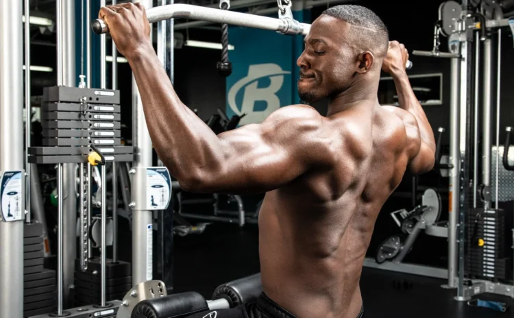  Should You Do a Full-Body Workout Every Day? The Science of Recovery and Muscle Growth